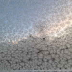 Meet your Posher, Aurora